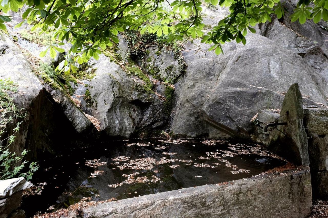 Forte Di Machaby Pansiyon Arnad Dış mekan fotoğraf